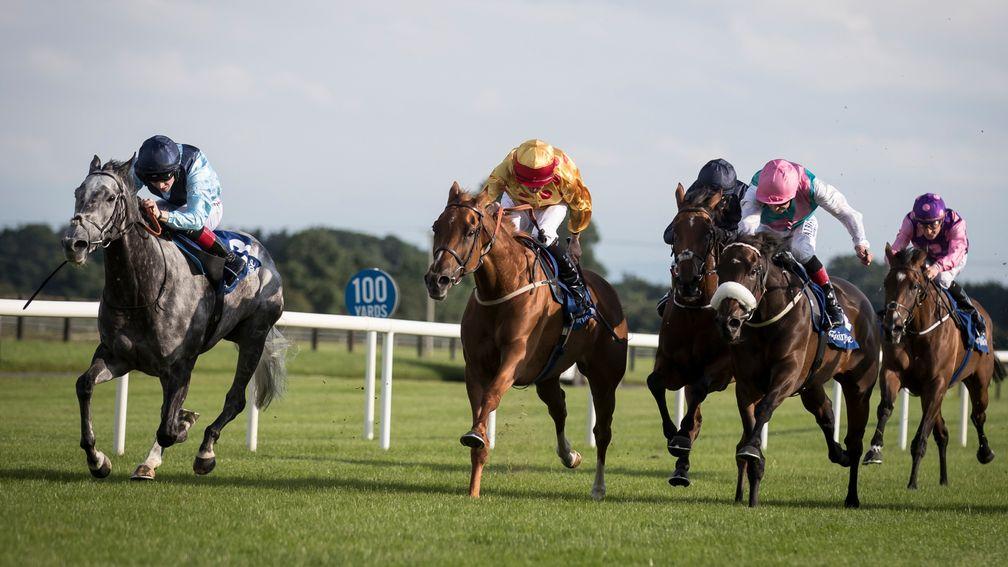 Realtra (left) runs out a convincing winner of the Brownstown Stakes at Fairyhouse