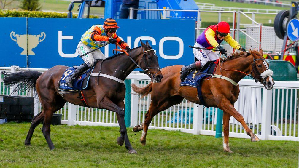 Just how much did the Gold Cup take out of Betway Bowl favourite Might Bite?