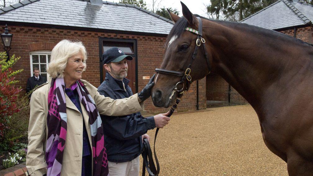 Rob Bowley introduces the Duchess of Cornwall to Frankel