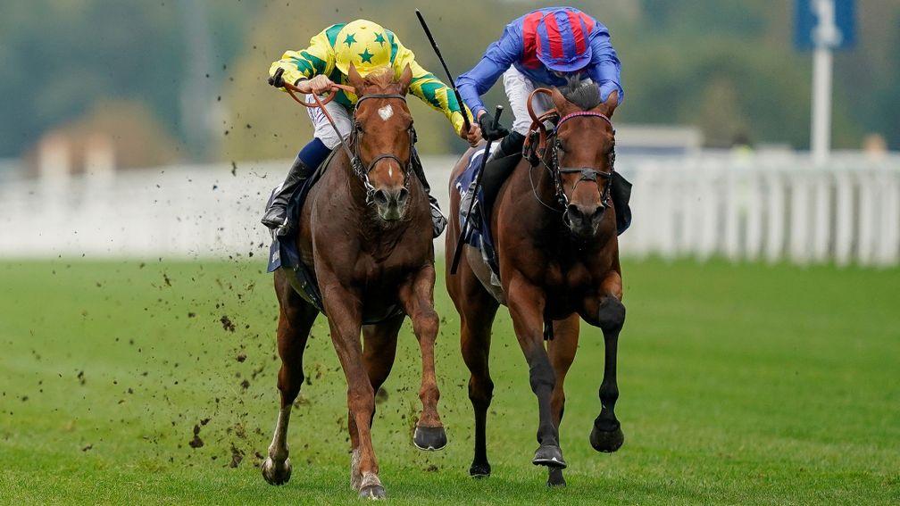 Sealiway and Mickael Barzalona (left) hold off Dubai Honour and James Doyle to win the Champion Stakes