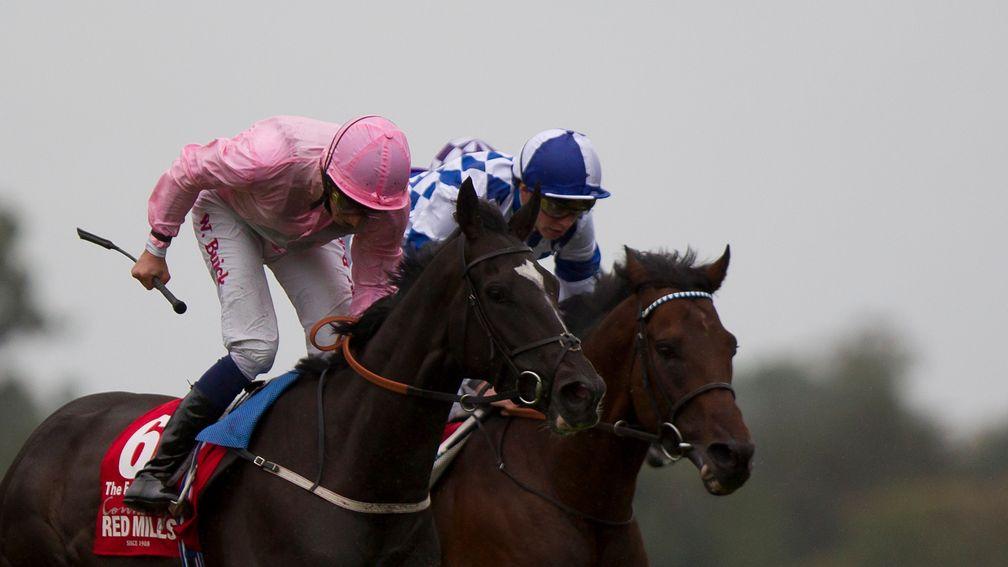 The Fugue set an outstanding example on the track