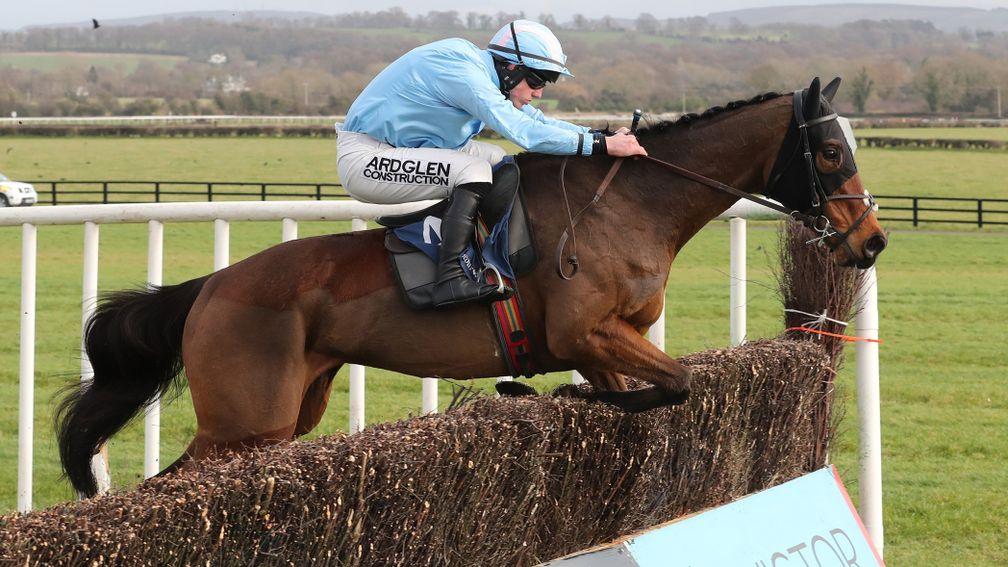 Noble Yeats: player for the Randox Grand National has been bought by the Waley-Cohens