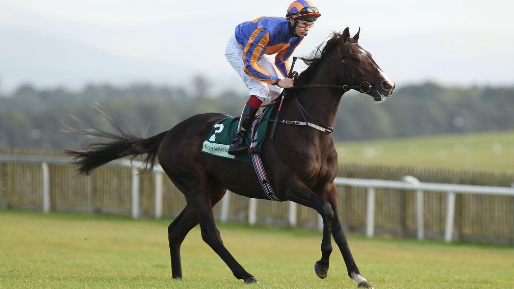 Battle Of Marengo: represented by Pyeongchang in the 2:50 at Limerick on Saturday