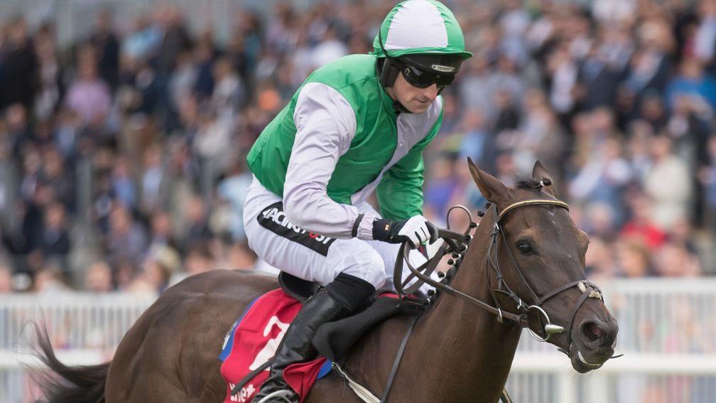 Exchange Rate: live contender for Willie Mullins