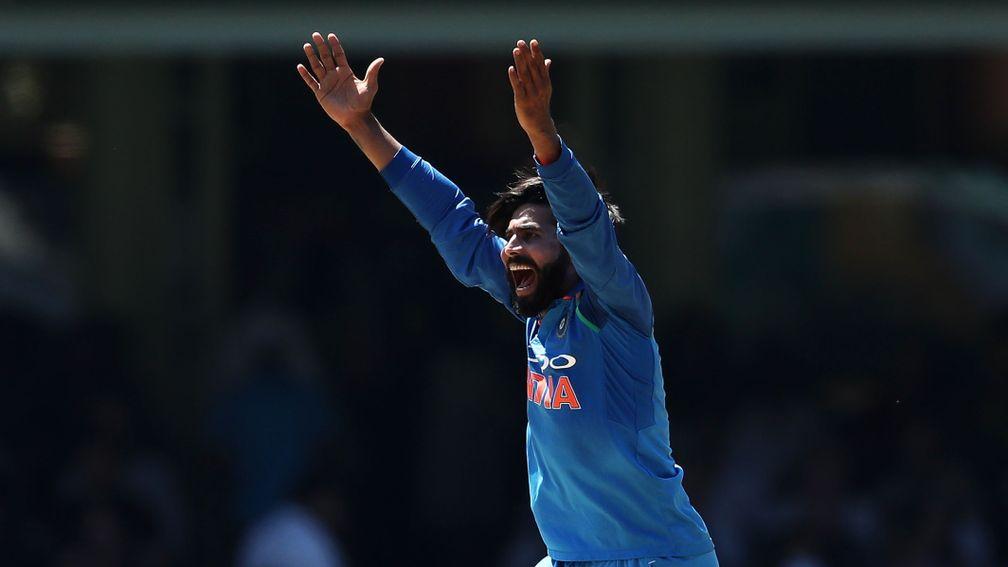 Ravindra Jadeja has been bowling with confidence in the ODI and Test formats