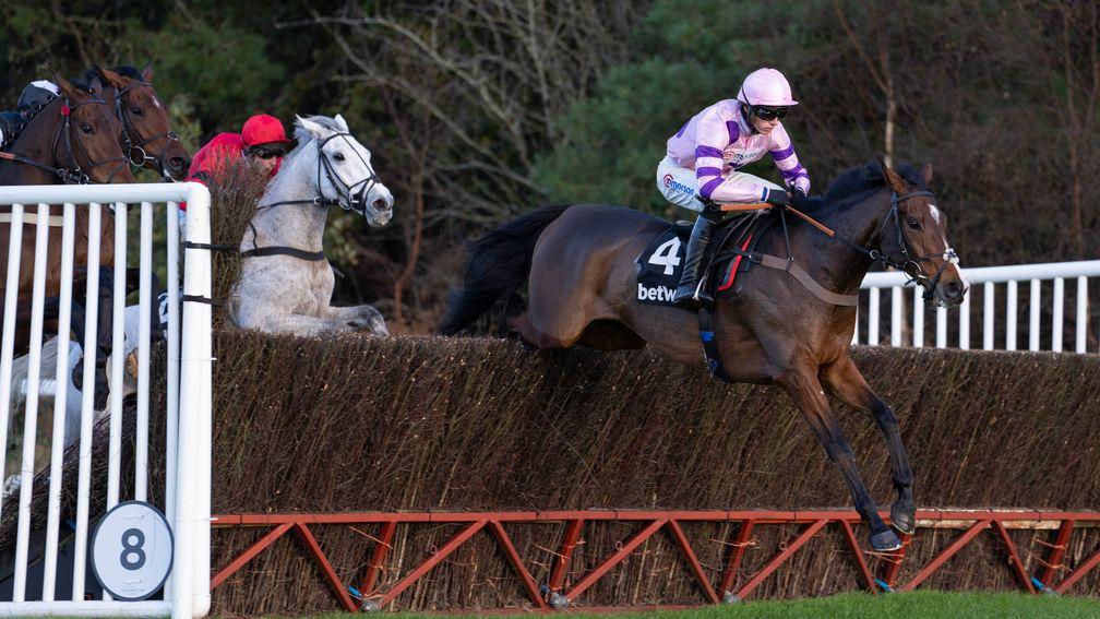 Stay Away Fay: made a winning start over fences at Exeter on Friday