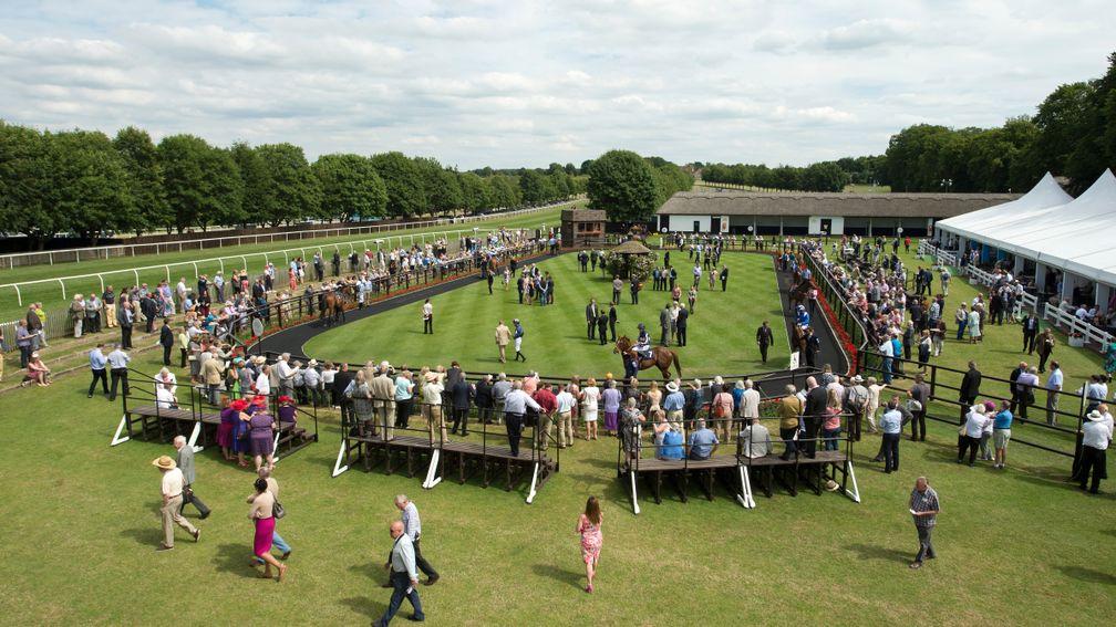 The July course parade ring: an excellent place to see the next generation of racing stars up close