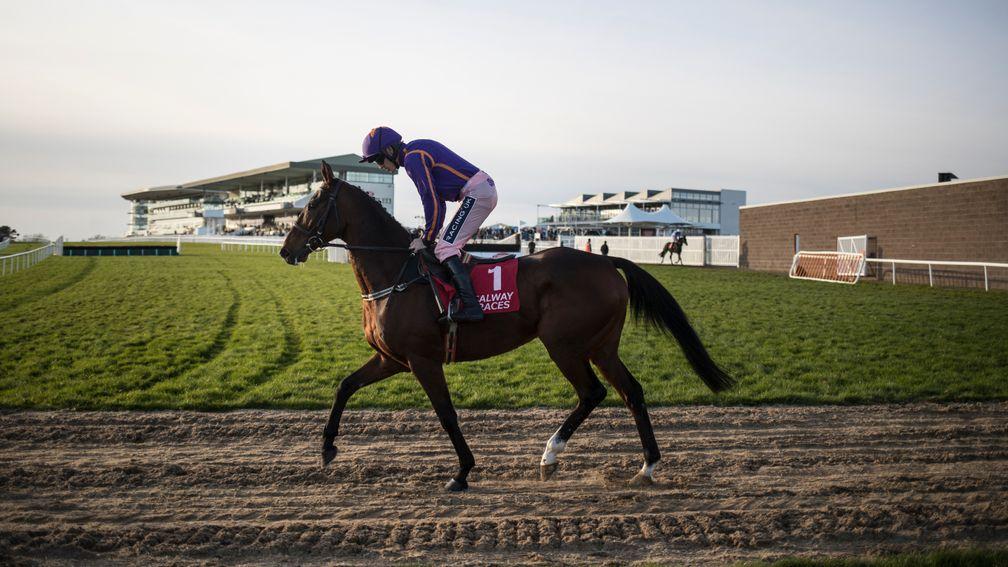 Wicklow Brave died after falling in the American Grand National at the weekend