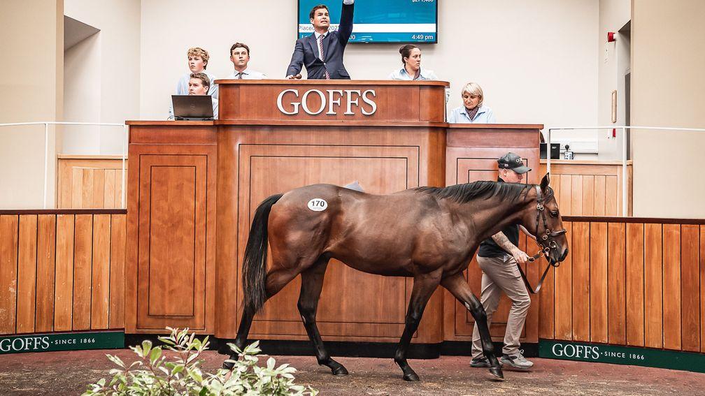 The session-topping Night Of Thunder colt sells to Mark McStay for £230,000