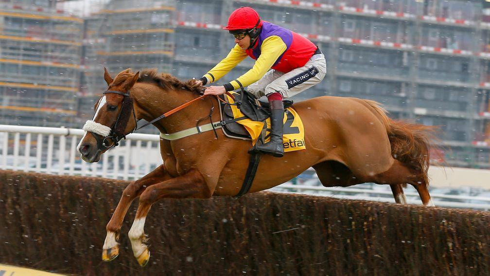 Native River: set to return in the Denman Chase at Newbury