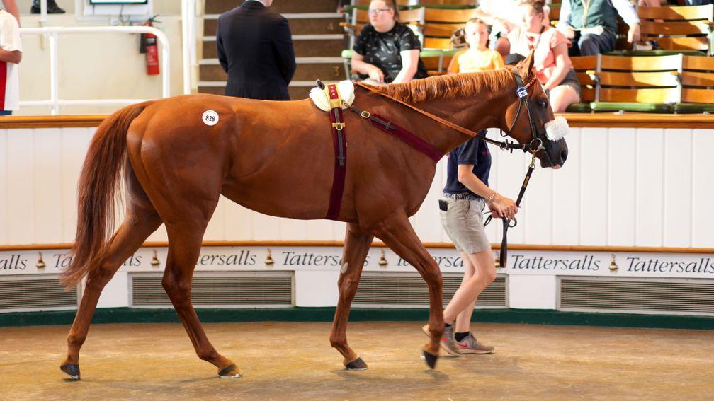 Ibrahim Saeed Al-Malki struck the back of the net with Upton Park at 150,000gns