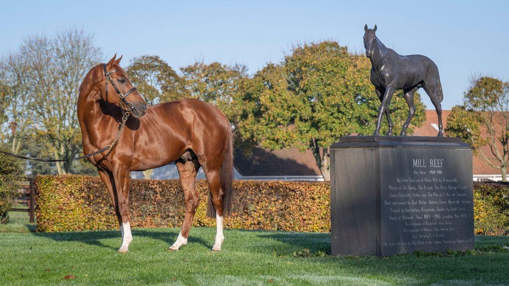 Stradivarius taking a good look at the statue of Mill Reef at the National Stud