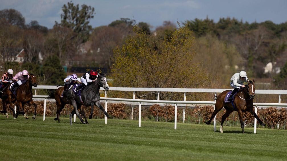 Above The Curve: beat Thoughts Of June in a Leopardstown maiden earlier this season