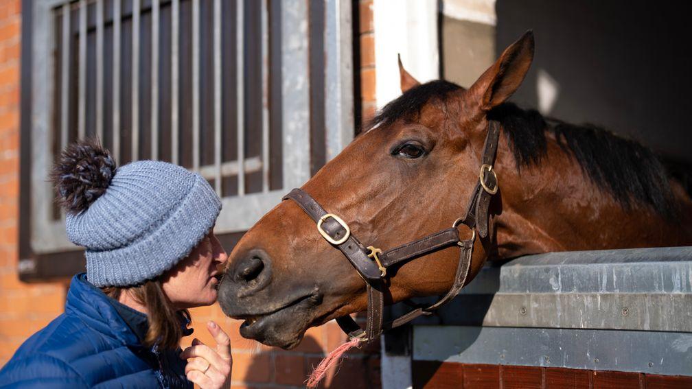Desert Crown with Sarah Denniff  head lass to Sir Michael Stoute at Freemason Lodge Stables Newmarket 18.4.23 Pic: Edward Whitaker