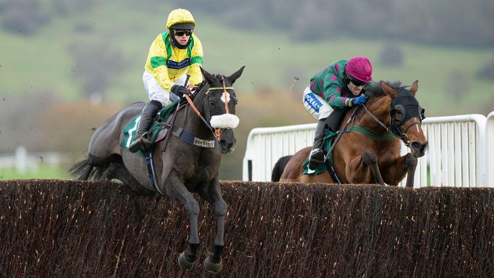 Happygolucky: 16-1 for the National Hunt Chase after his Cheltenham success on Friday