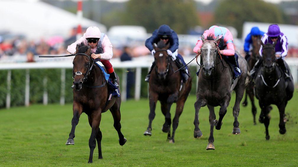 Too Darn Hot got the better of Phoenix Of Spain in the Champagne Stakes at Doncaster last September