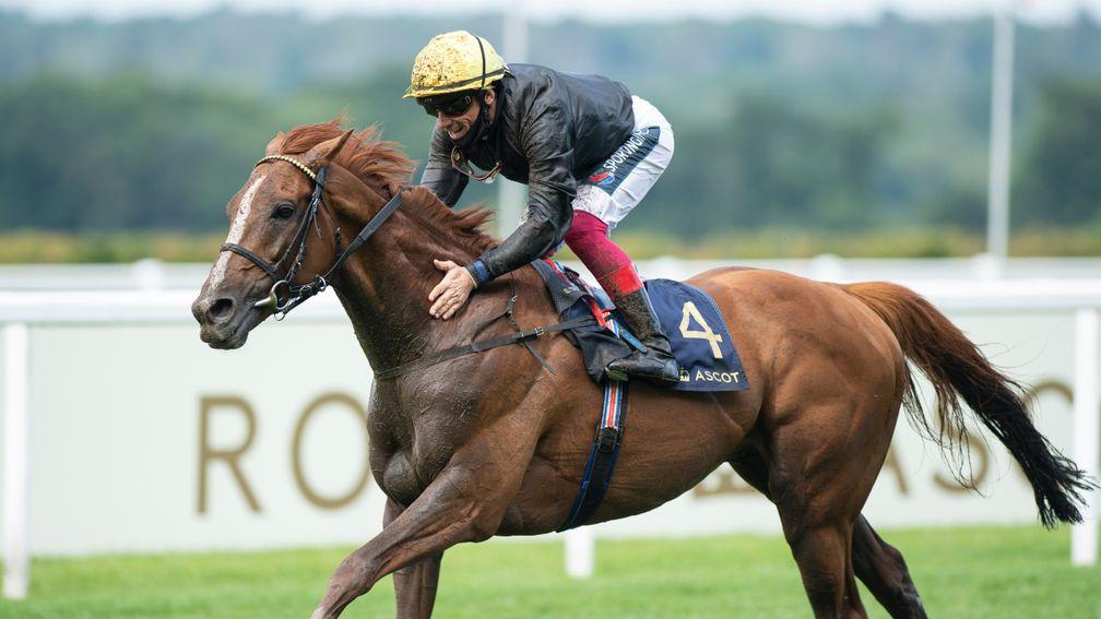 Stradivarius: superstar stayer appears to be one of two bankers on the card on Tuesday