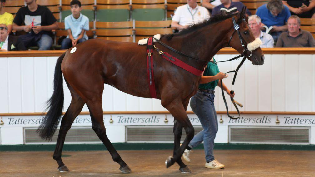 Mr Diamond: one of two six-figure lots on the second day of the July Sale