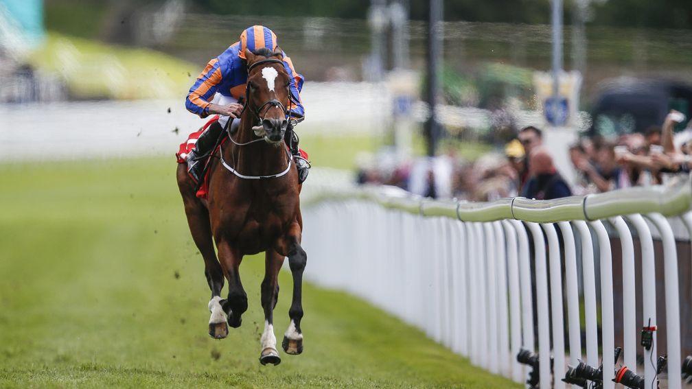 Rostropovich showed his quality in dominating the Homeserve Dee Stakes at Chester last month