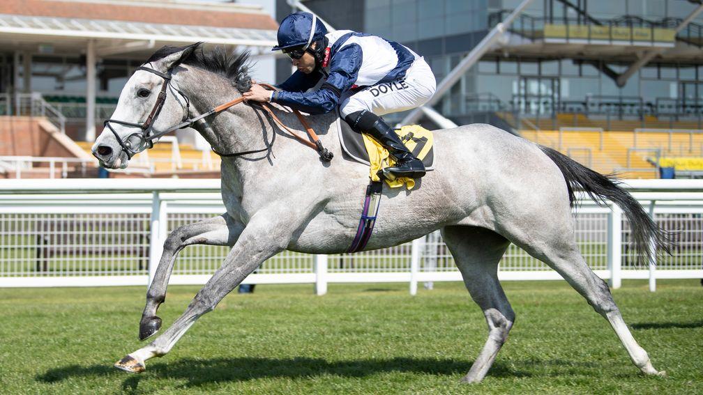 Snow Lantern: the daughter of Sky Lantern is as short as 10-1 for the Cazoo Oaks