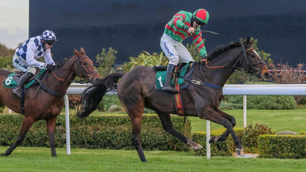 Nuts Well: 2020 Old Roan Chase winner has run his last race