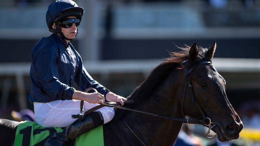 Arizona: appears likely to have Ryan Moore aboard again in the Qipco 2,000 Guineas