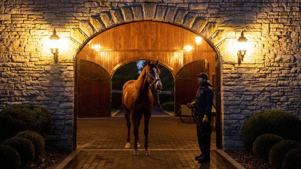 Justify: fee for the Triple Crown winner by Scat Daddy is being kept private