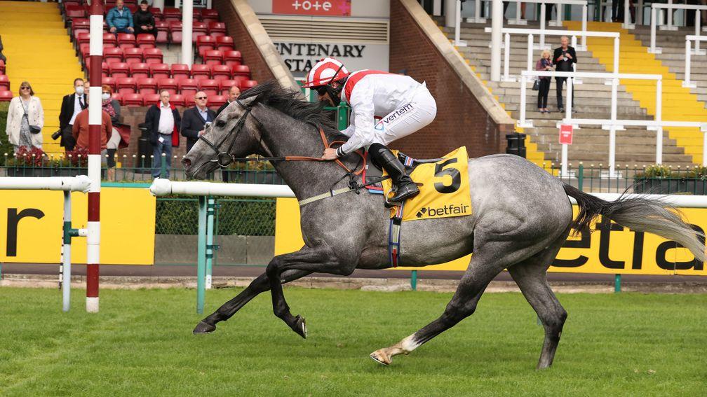 Top Rank: made it five wins from six in the Superior Mile at Haydock