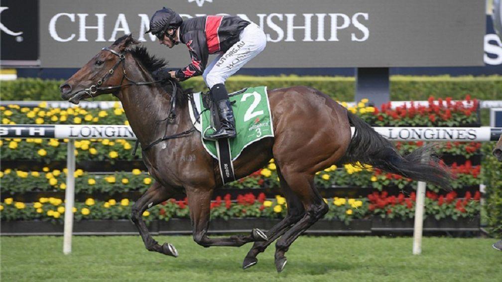 Away Game: bound for the Magic Millions 3YO Guineas on Saturday week