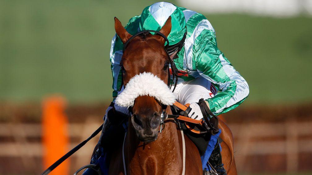 Shantou Village is one of four smart winners from as many runners from his dam