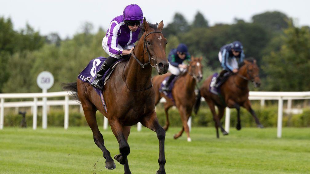 Tower Of London: looks another Group-class horse in the making for the remarkable Dialafara