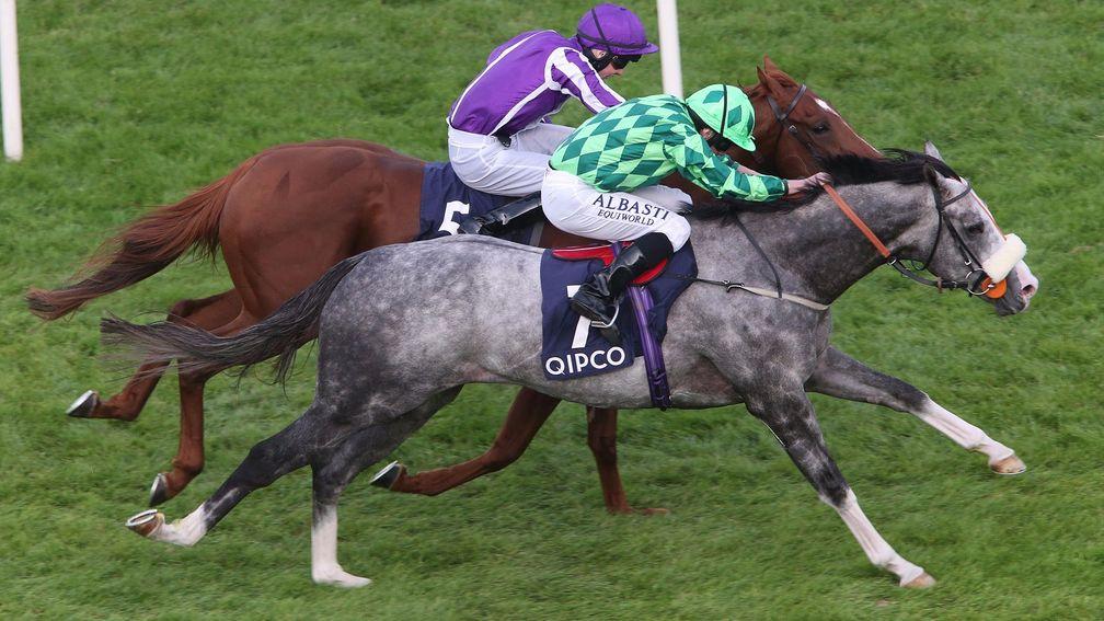 The Grey Gatsby (nearside): back at Leopardstown on Thursday evening where he edged out Australia in the memorable 2014 Irish Champion Stakes