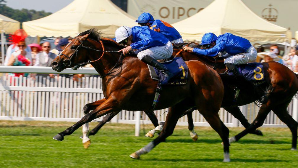 A T Bloodstock purchase Barney Roy (white cap) surges clear in the St James's Palace Stakes