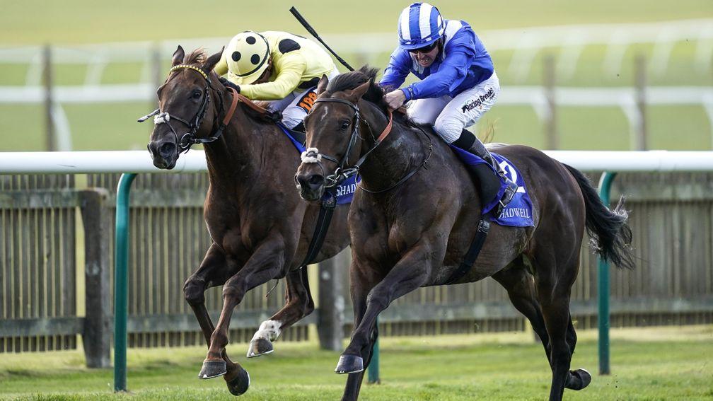 Mustashry (right) locked in battle with Zabeel Prince