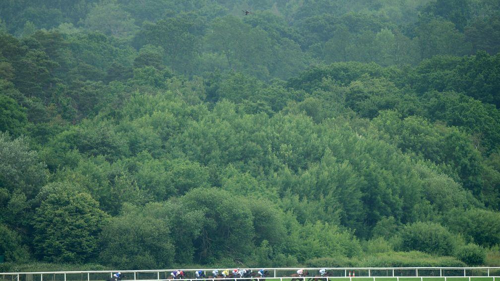 A drone flies over runners at Royal Ascot in 2015