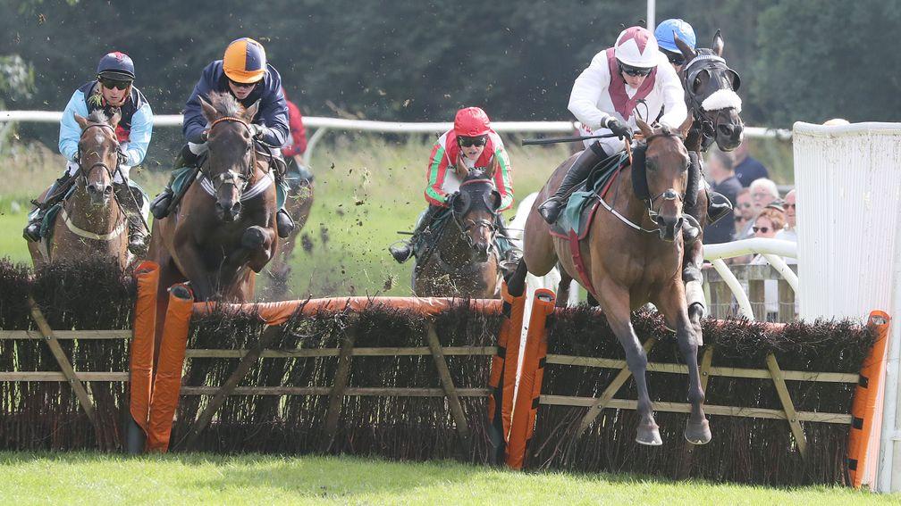 Eshtiaal (white) finished a fine second in the Grand National Hurdle for Gordon Elliott in 2015