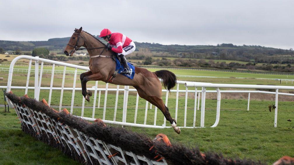 Laurina: backed to 7-2 from 4-1 for the Champion Hurdle