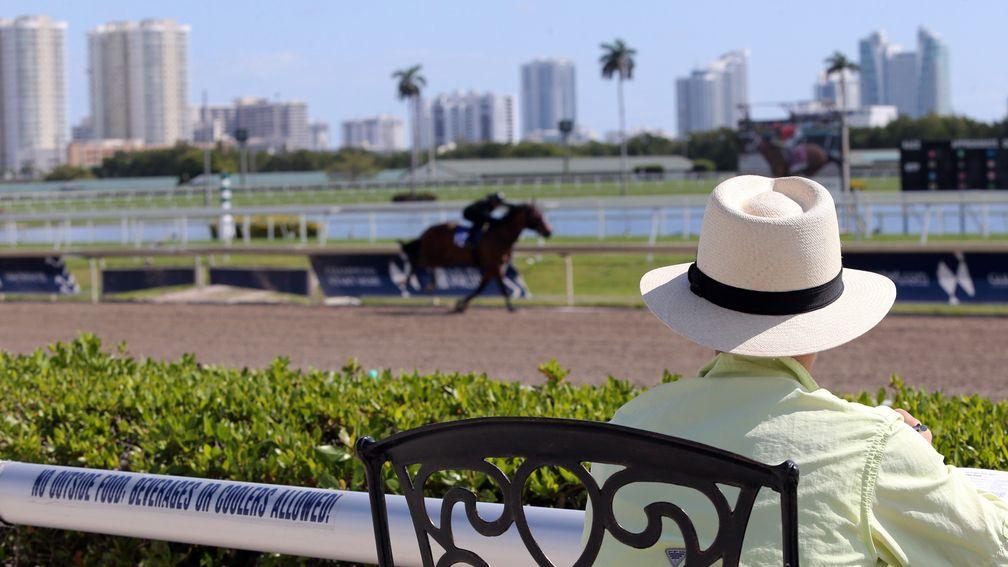 Gulfstream Park: closed to spectators until further notice