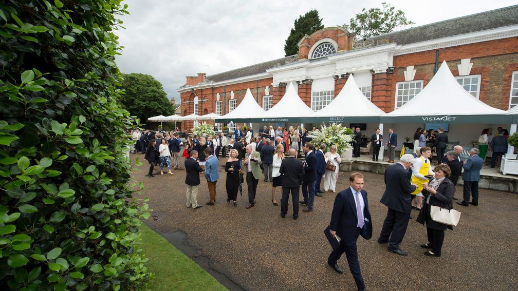 The Goffs London Sale is now in its fifth year