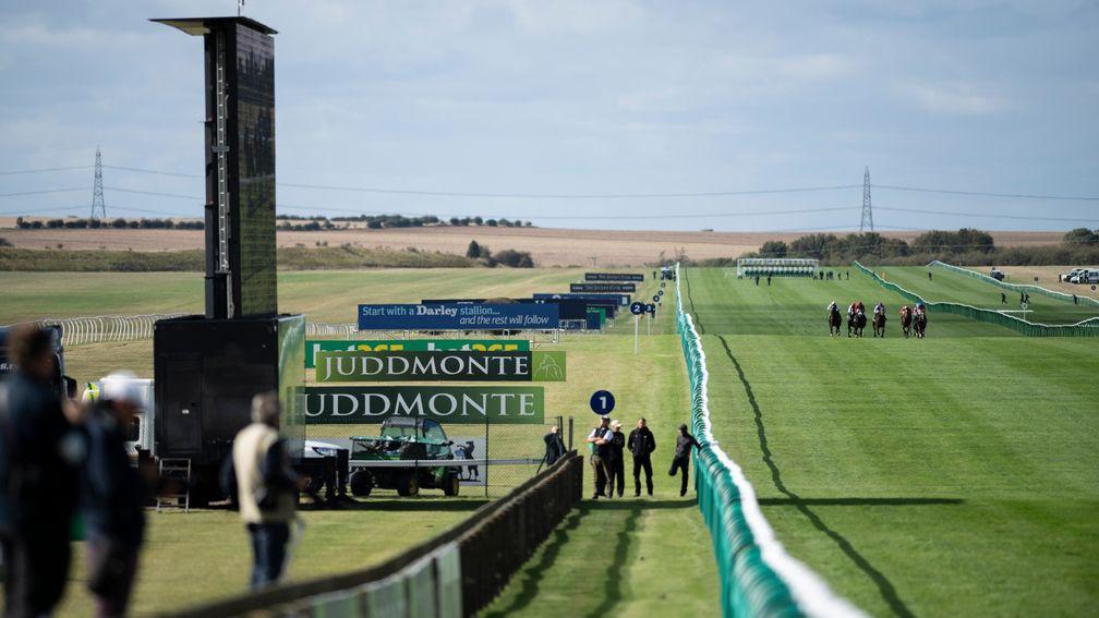 There are six races for juveniles on the Rowley Mile on Thursday