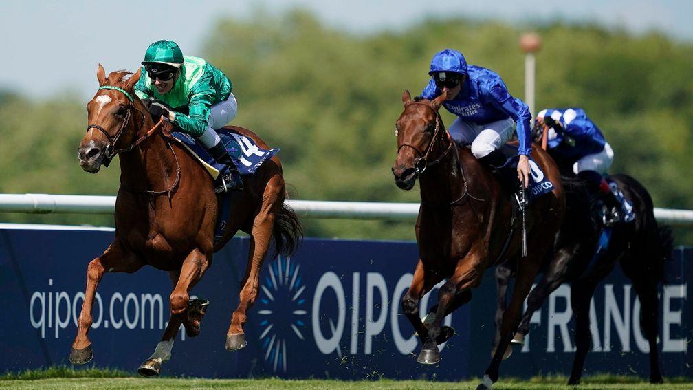 Sottsass: a general 8-1 chance to win the Irish Champion Stakes