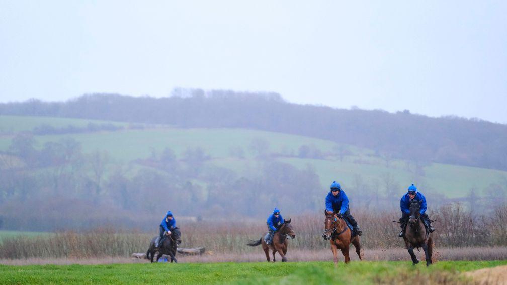 Horses stretch their legs at Colin Tizzard's on Tuesday morning