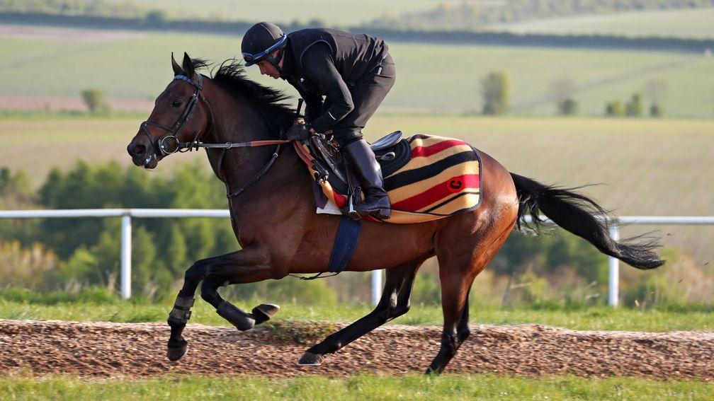 My Dream Boat, partnered by Stuart Shilston, works at Clive Cox's Lambourn yard