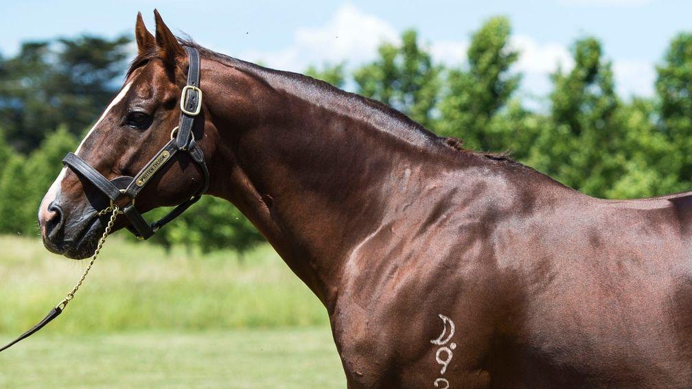 Written Tycoon: standing for a career-high fee of $165,000