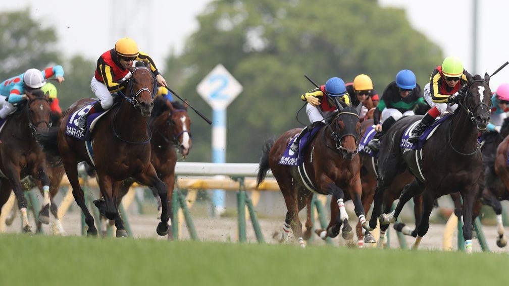 Schnell Meister (dark yellow cap, left) came with a late challenge to take the NHK Mile Cup