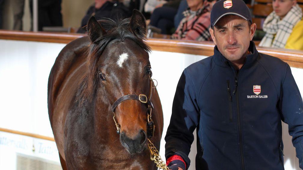 Barton Stud's Mohaather colt sells to Shadwell for 110,000gns
