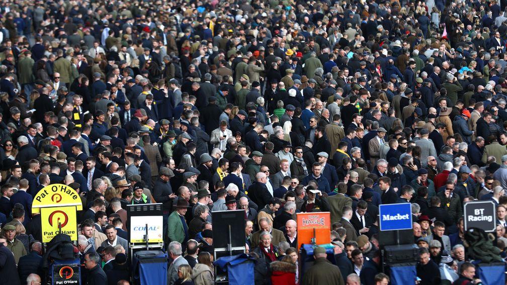 A huge bank of spectators on Gold Cup day of the Cheltenham Festival
