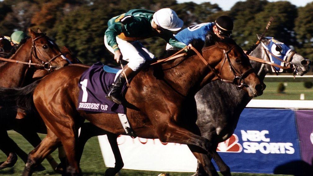 Lester Piggott on Royal Academy wins the 1990 Breeders Cup Mile from Itsallgreektome in the United States Mirrorpix