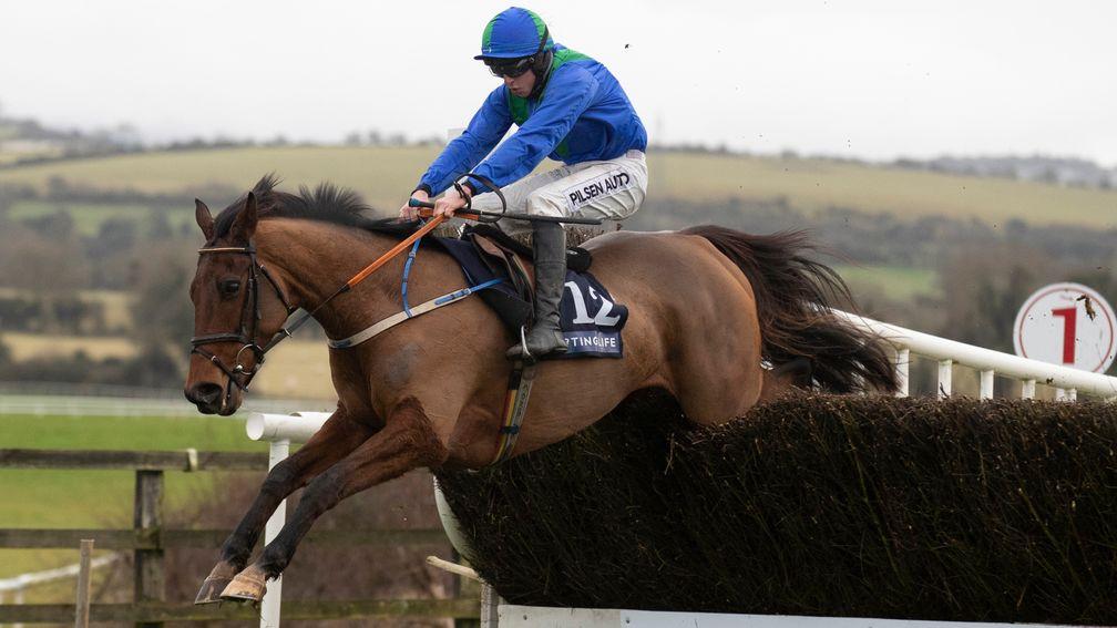 Owl Creek Bridge and Conor McNamara clear the last to land the beginners' chase at Punchestown