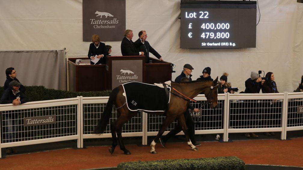 Sir Gerhard in the ring before selling for £400,000